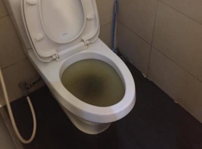 đổ cơm v&agrave;o bồn cầu c&oacute; sao kh&ocirc;ng